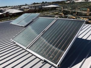 Solar hot water panels mounted on a metal roof in Maroochydore, harnessing sunlight for efficient hot water production.